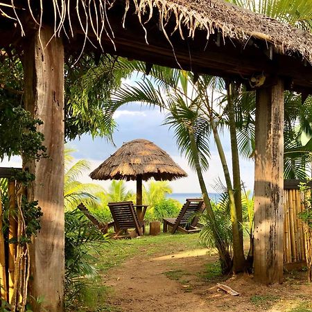 Palmlea Farms Lodge & Bures - Villas Labasa Eksteriør billede