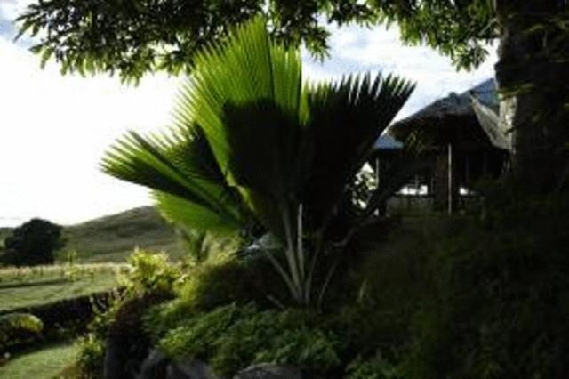 Palmlea Farms Lodge & Bures - Villas Labasa Eksteriør billede
