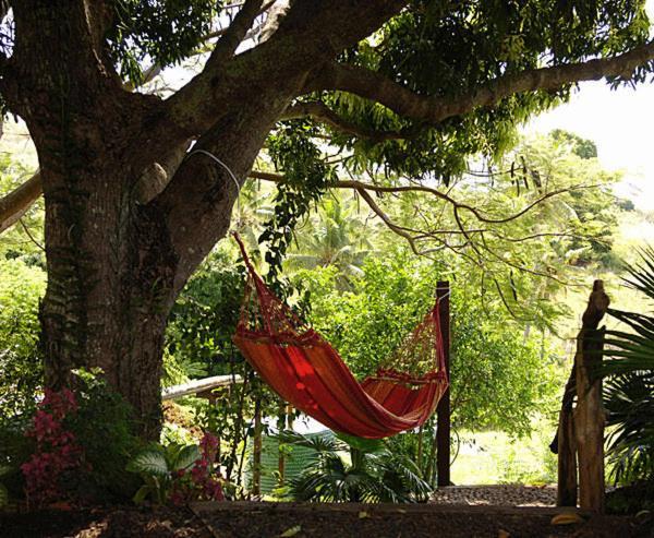 Palmlea Farms Lodge & Bures - Villas Labasa Eksteriør billede