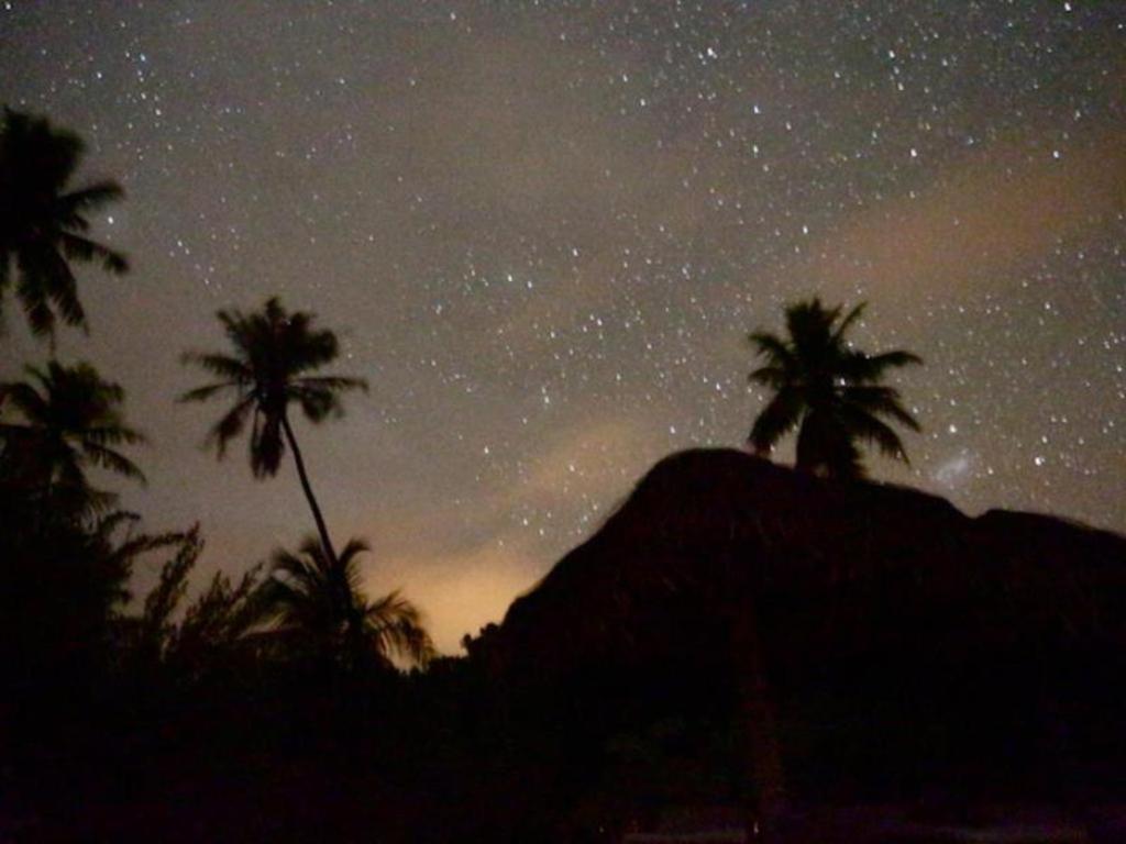 Palmlea Farms Lodge & Bures - Villas Labasa Eksteriør billede