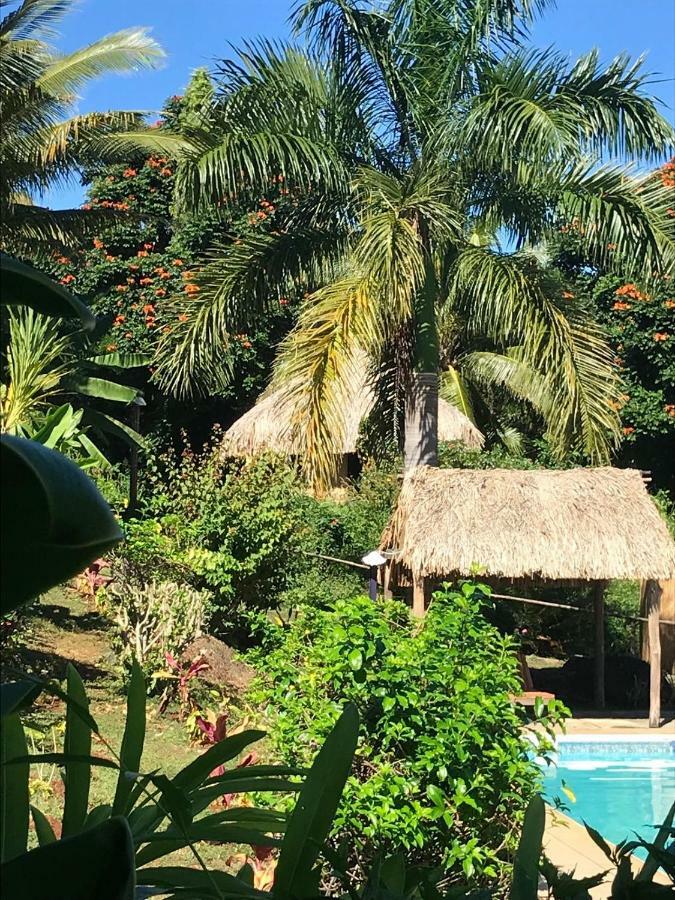 Palmlea Farms Lodge & Bures - Villas Labasa Eksteriør billede